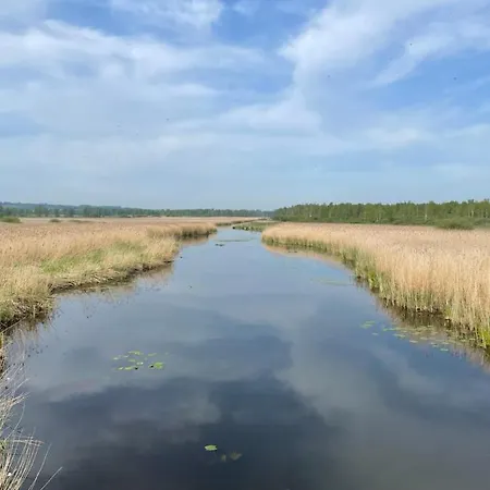 Auszeit Am Federsee Bad Buchau
